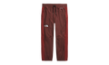 Build Up Pant "Sumac" NF0A82VND6O1
