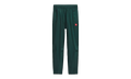 Red Box Packable Nylon Wind Pants "Hunter Green" NF0A8EFV1KI1