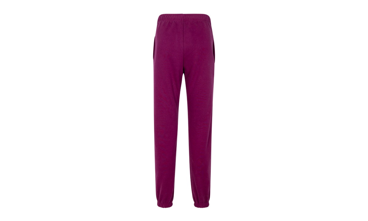 North Face x Kaws Sweatpants "Kaws" NF0A7WLK