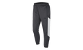 Sportswear Woven Pants "Anthracite / Sail / Black" AR1873 060