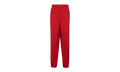 Lacoste Track Pant "FW19" SU7918