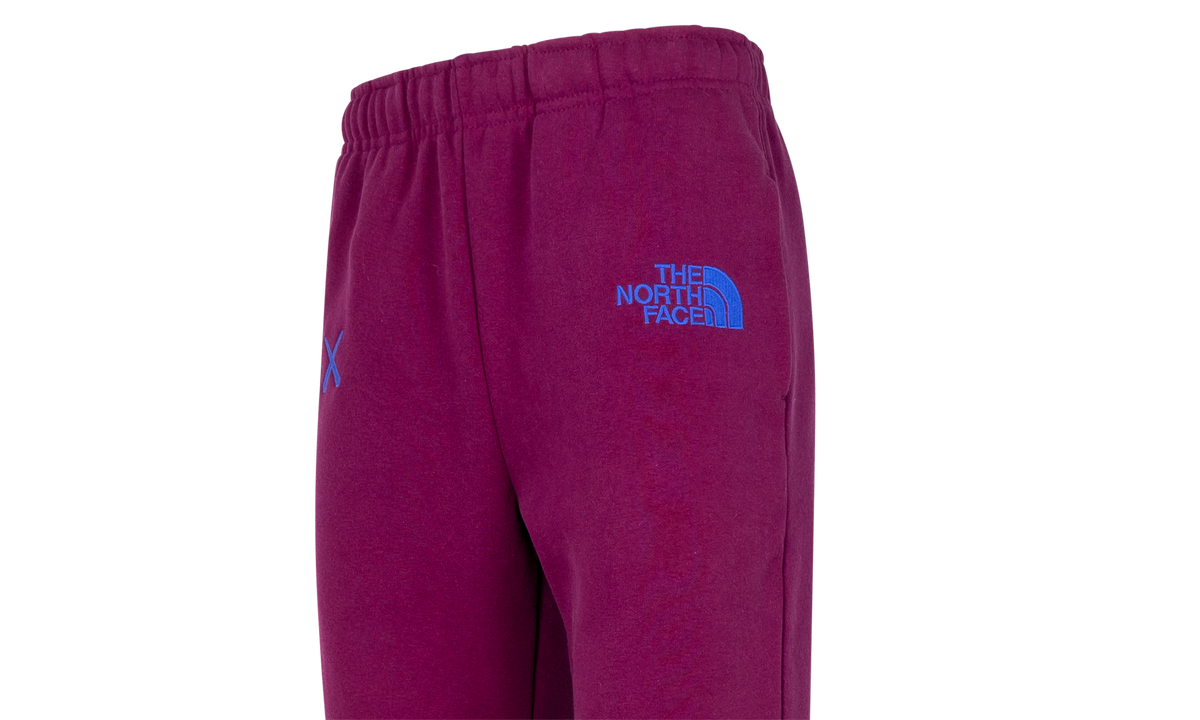 North Face x Kaws Sweatpants "Kaws" NF0A7WLK