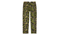 Cargo Pant TNP "Tiger Camo" 422622 98T
