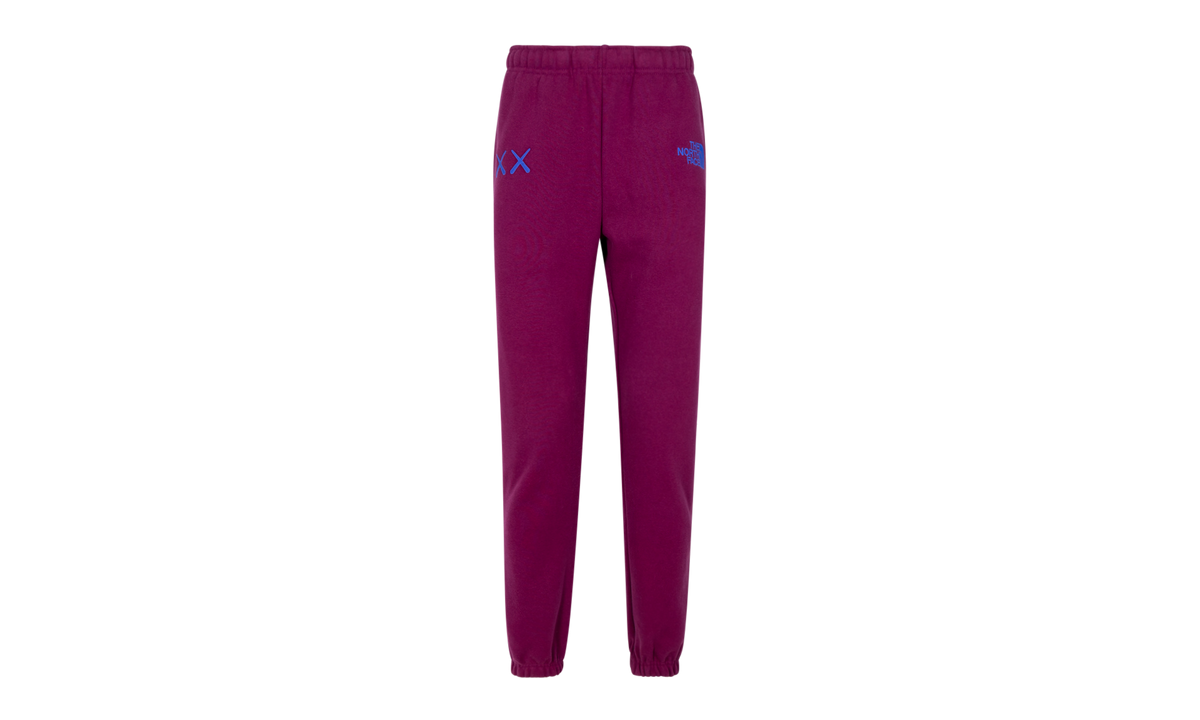 North Face x Kaws Sweatpants "Kaws" NF0A7WLK
